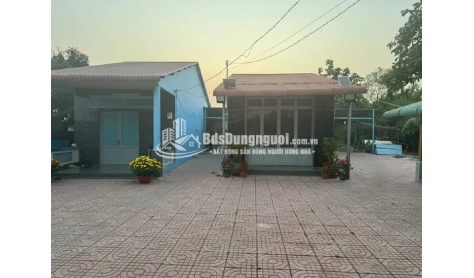 BÁN ĐẤTTRỒNG CÂY LÂU NĂM 300M2 XUNG QUANH ĐẦY ĐỦ TIỆN ÍCH SHR CHÍNH CHỦ KHÔNG TRANH CHẤP